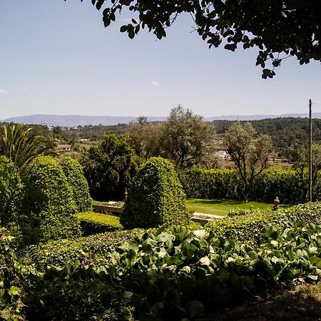 Quinta Da Fata Villa เนลาช ภายนอก รูปภาพ