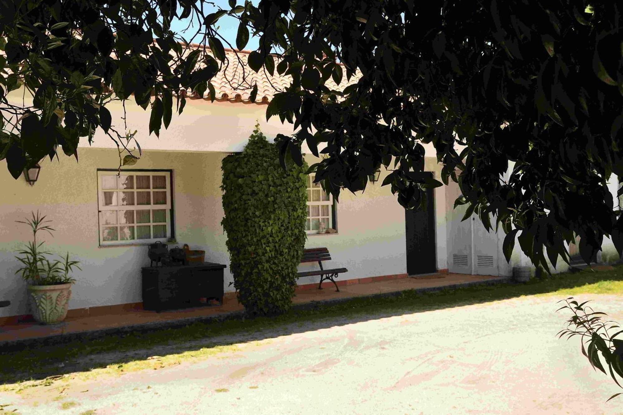 Quinta Da Fata Villa เนลาช ภายนอก รูปภาพ