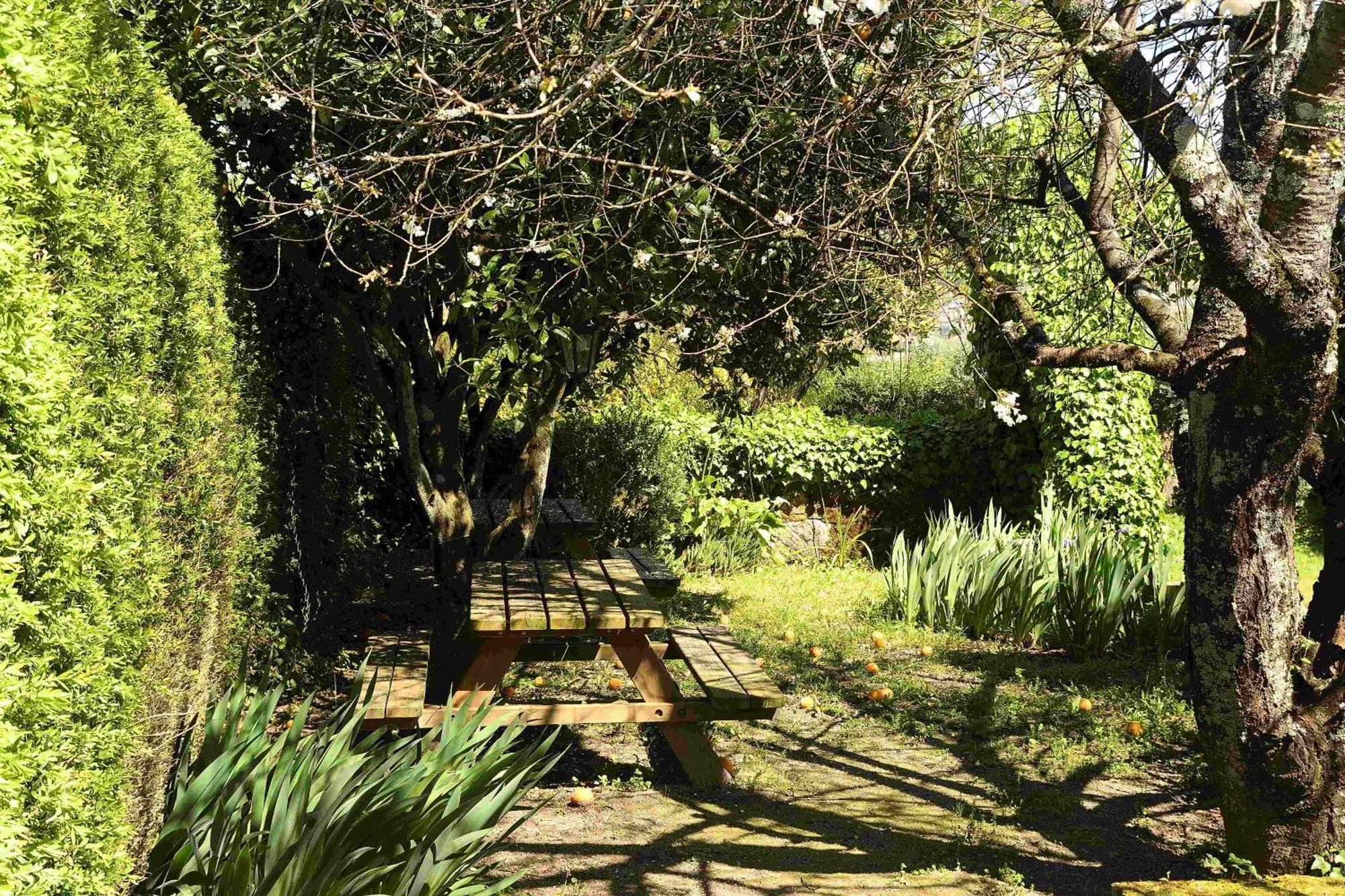 Quinta Da Fata Villa เนลาช ภายนอก รูปภาพ